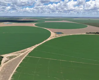 Cidades agrícolas: a tecnologia que move as gigantes do Matopiba