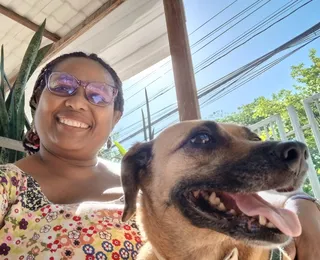 Fuga de pet: plaquinha, microchip ou rastreador é o mais seguro?