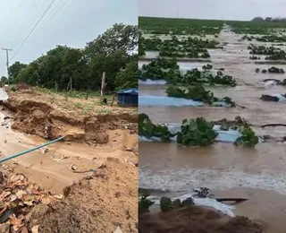 Início das aulas é adiado em cidade da Bahia após alerta