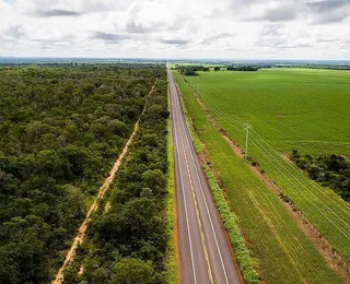 Investimento em mobilidade impulsiona escoamento de grãos no Matopiba