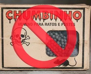 Combate à venda ilegal de chumbinho pode virar lei na Bahia