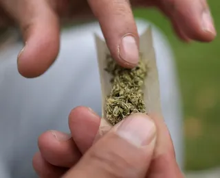 Maconha puxa alta de 80% no consumo de drogas no Brasil em 11 anos