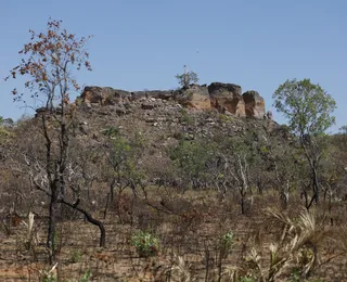 Mercado de carbono no Matopiba pode movimentar US$ 1 bilhão e transformar o Cerrado
