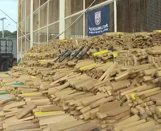 Quase 50 toneladas de maconha são apreendidas em bunker improvisado