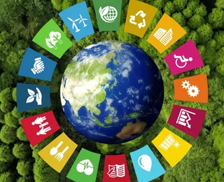 Pontos cegos na pesquisa global de sustentabilidade