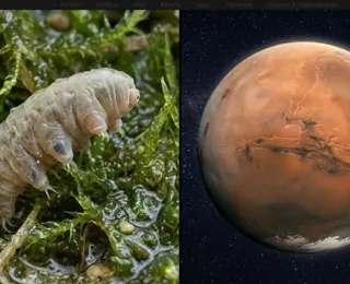 Solo de Marte atua como "escudo" contra contaminação da Terra