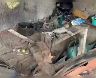 Vídeo: fábrica de armas artesanal é desmontada em cidade baiana