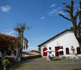 MAM recebe programação especial da Semana de Museus 2026