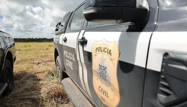 Mais de 200 mil pés de maconha são destruídos em operação na Bahia