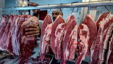 Brasil tenta reverter bloqueio da UE às exportações de carnes