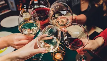 Câmara de Salvador aprova lei sobre cultura do vinho