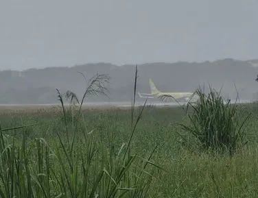 Avião da Gol sai da pista após pouso em Salvador - Imagem