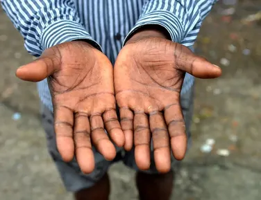 Bahia figura no topo das estatísticas de trabalho análogo à escravidão no Brasil - Imagem