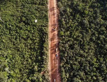BR-319: Governo libera obras na Amazônia e enfrenta pressão ambiental - Imagem