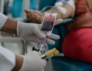 Doadores de sangue e medula óssea podem ganhar meia-entrada na Bahia - Imagem