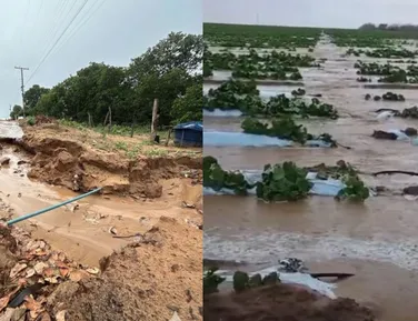 Início das aulas é adiado em cidade da Bahia após alerta - Imagem
