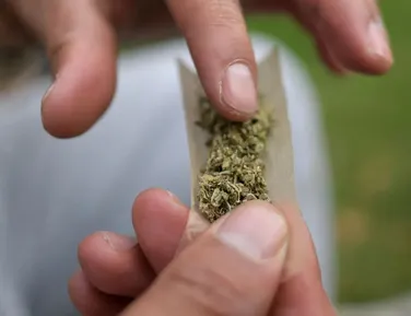 Maconha puxa alta de 80% no consumo de drogas no Brasil em 11 anos - Imagem