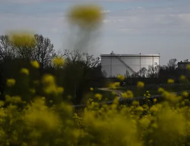 Países liberam 400 milhões de barris de petróleo para frear alta da gasolina - Imagem