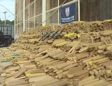 Quase 50 toneladas de maconha são apreendidas em bunker improvisado - Imagem