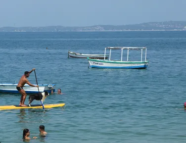 Porto da Barra terá boias para separar área de banhistas e barcos - Imagem