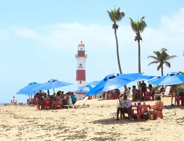 Encantadora Bahia - Imagem