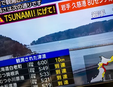 Terremoto de 7,5 no Japão gera alerta de tsunami e megaterremoto - Imagem