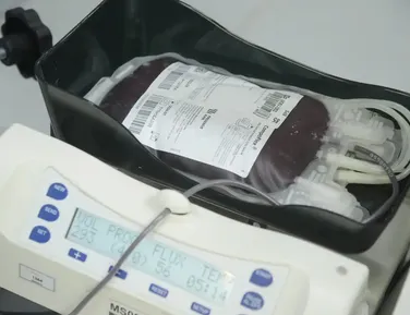 Testemunhas de Jeová mudam regra sobre transfusão de sangue - Imagem
