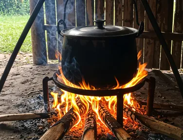 Uso de fogão a lenha pode render R$ 10 mil em multa; saiba motivo - Imagem