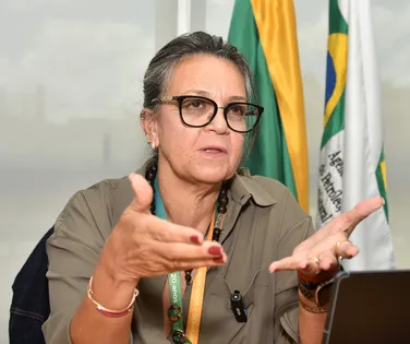 ANP coloca equipes em alerta para fiscalizar combustíveis e garantir novas regras federais - Imagem