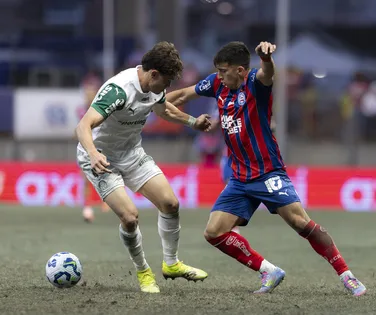 Bahia e Palmeiras formam duelo dos times com menos derrotas da Série A - Imagem