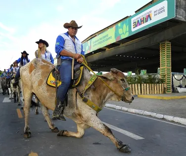 Calendário agro na Bahia terá mais de 40 eventos em 2026; veja lista - Imagem