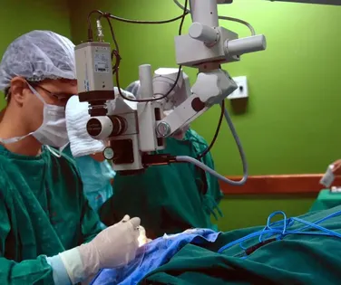 Catarata, hérnia e mais: veja as cirurgias do novo mutirão da Bahia - Imagem