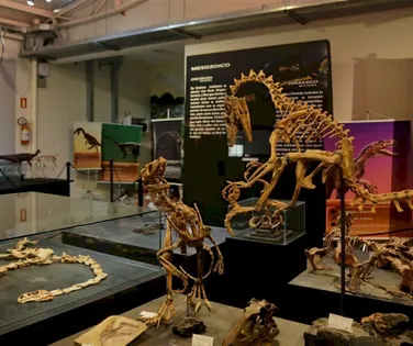 Cidade pequena do Brasil guarda dinossauros mais antigos do mundo - Imagem
