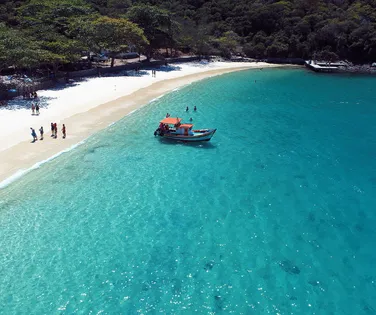 Fenômeno raro transforma praia brasileira em espetáculo natural - Imagem