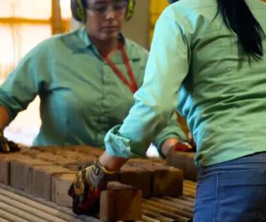 Fim da escala 6x1: Leo Prates defende jornada de 40 horas e limite de 5 dias de trabalho - Imagem