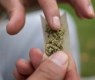 Maconha puxa alta de 80% no consumo de drogas no Brasil em 11 anos - Imagem