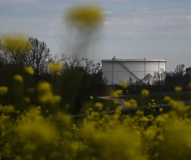 Países liberam 400 milhões de barris de petróleo para frear alta da gasolina - Imagem