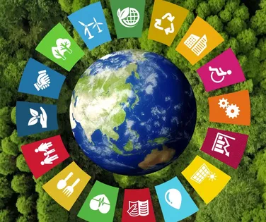 Pontos cegos na pesquisa global de sustentabilidade - Imagem