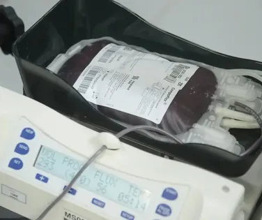 Testemunhas de Jeová mudam regra sobre transfusão de sangue - Imagem