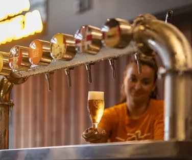 Curso gratuito para mulheres no setor cervejeiro; confira detalhes - Imagem