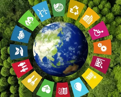 Pontos cegos na pesquisa global de sustentabilidade