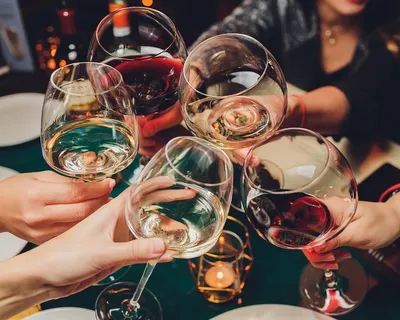 Câmara de Salvador aprova lei sobre cultura do vinho