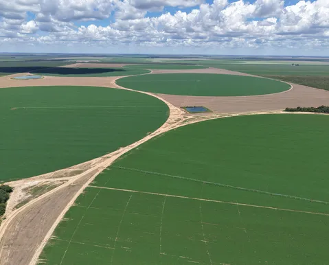 Cidades agrícolas: a tecnologia que move as gigantes do Matopiba
