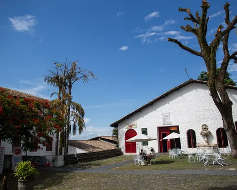 MAM recebe programação especial da Semana de Museus 2026