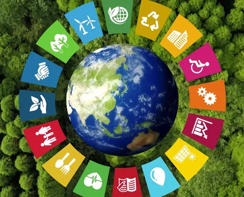 Pontos cegos na pesquisa global de sustentabilidade
