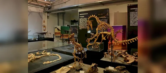 Cidade pequena do Brasil guarda dinossauros mais antigos do mundo - Imagem