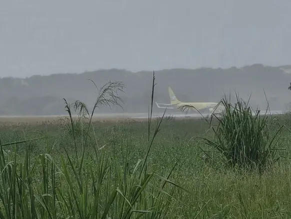 Avião da Gol sai da pista após pouso em Salvador - Imagem