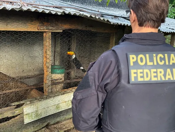 Tráfico internacional de animais em extinção é investigado na Bahia - Imagem