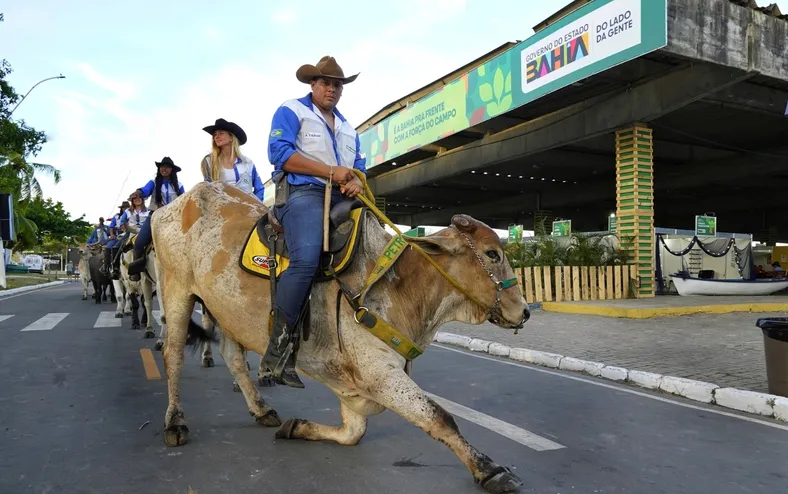 Calendário agro na Bahia terá mais de 40 eventos em 2026; veja lista - Imagem