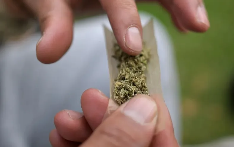 Maconha puxa alta de 80% no consumo de drogas no Brasil em 11 anos - Imagem